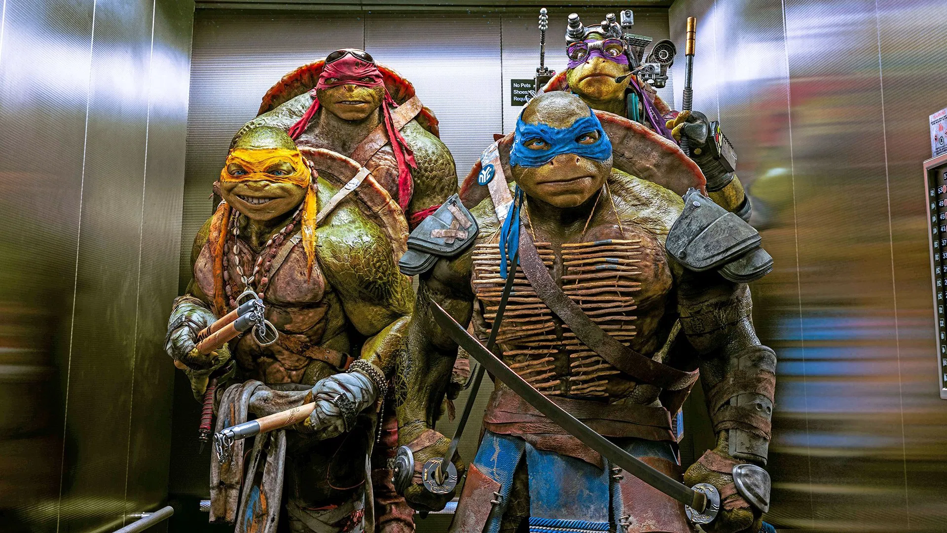 Teenage Mutant Ninja Turtles (Home Theater Review)
